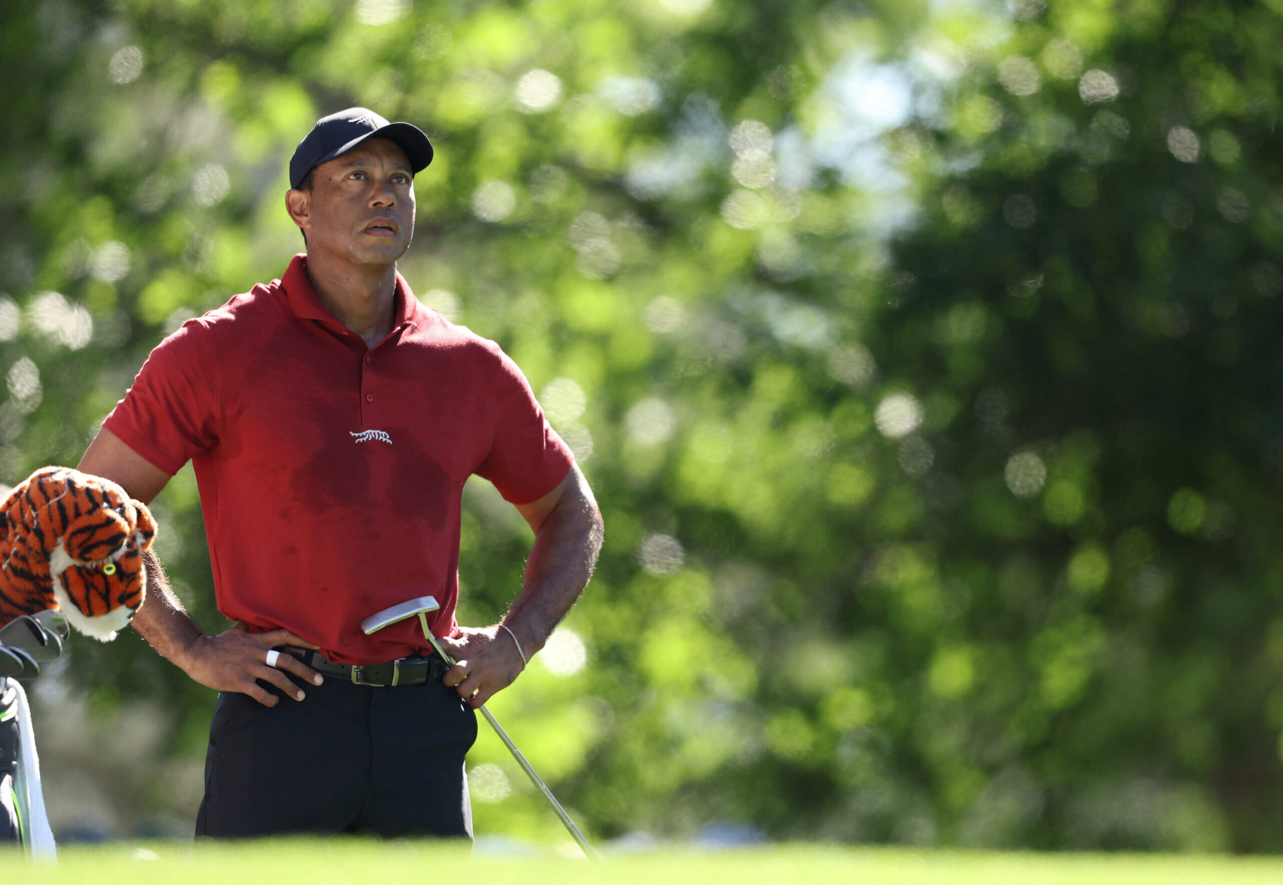 Tiger Woods Exclusive Entry to 2023 U.S. Open at Pinehurst – A Golfing Icon Returns